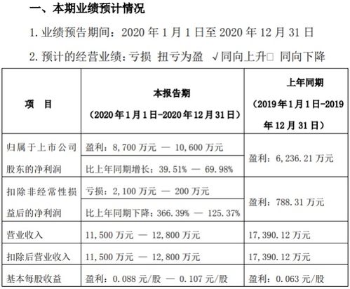 海南高速2020年预计净利8700万 1.06亿增长39.51 69.98 减持股票产生投资收益